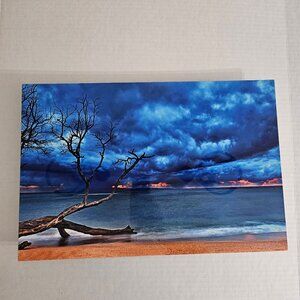 Signed John O'leary Photograph on Aluminum Metal Maui Blue Sky Ocean Beach Scene